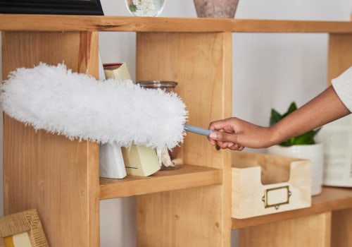 Want Cleaner Air? How to Get Rid of Dust Mites for Good